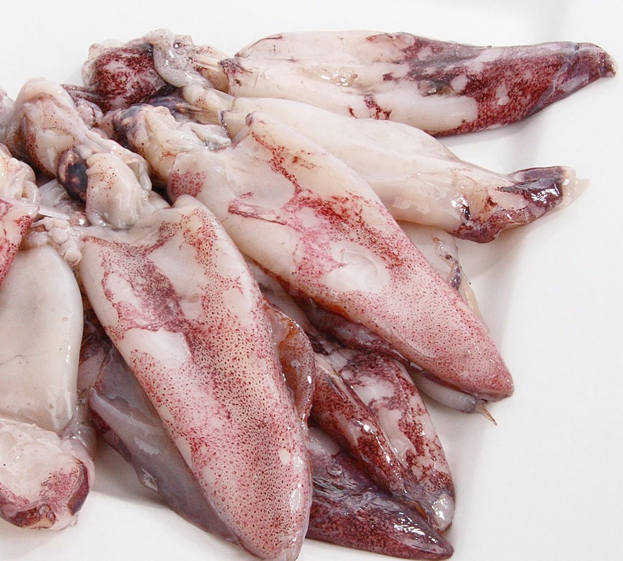 Кальмар командорский свежемороженый