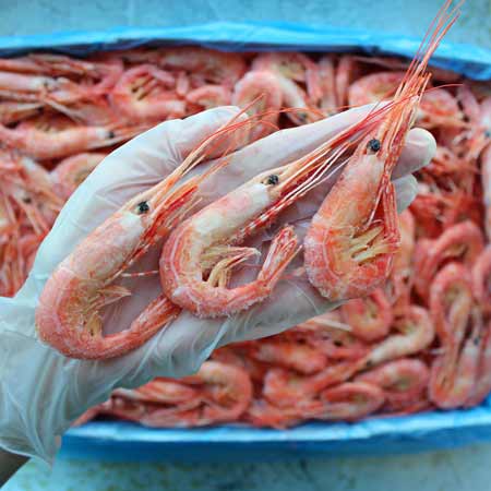 Магаданские креветки 70/90