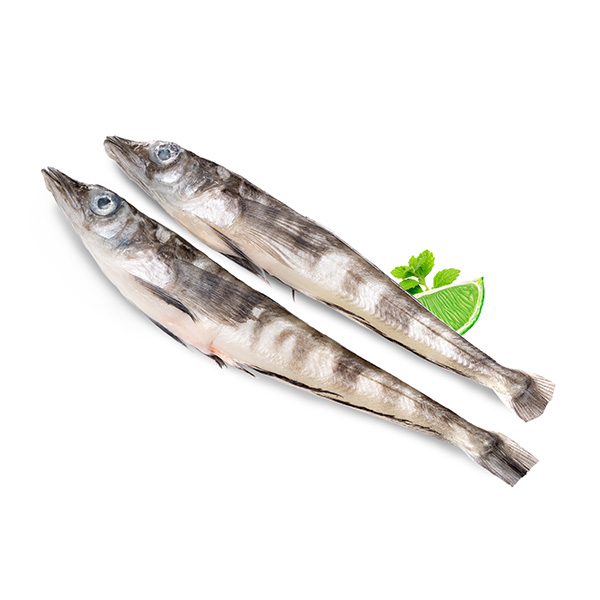 Ледяная рыба свежемороженая