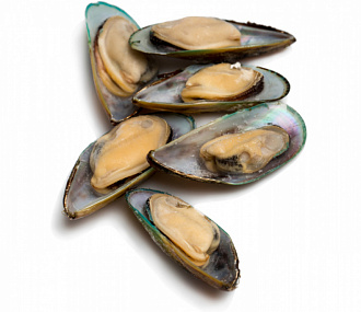 Мидии киви свежемороженые