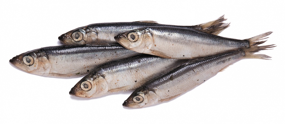 Тугунок слабосоленый